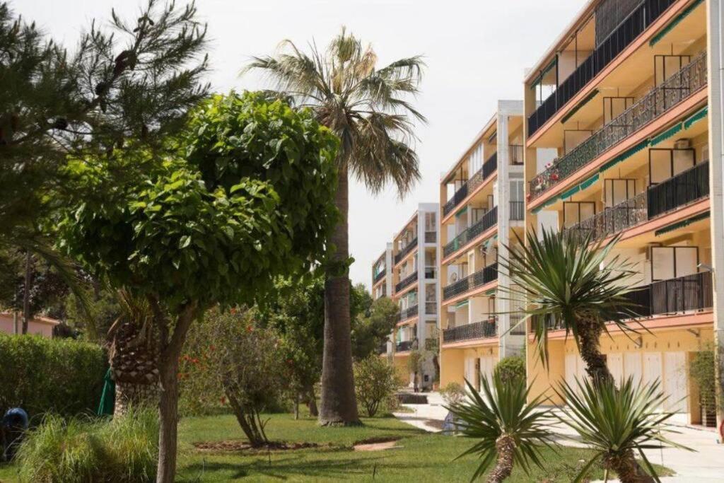 Appartement En Primera Linea De Playa